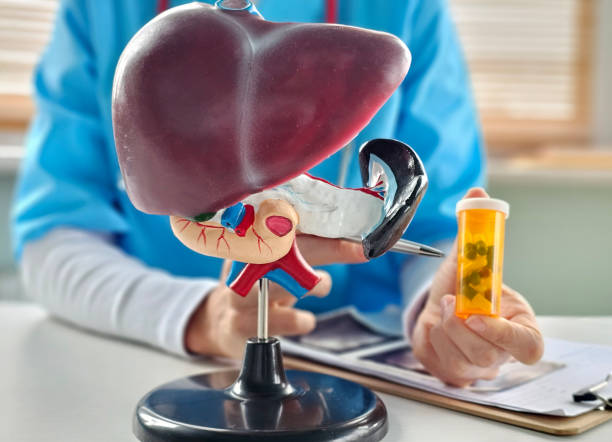 Liver Load Too High? Here’s How to Support It with Daily Herbal Tablets