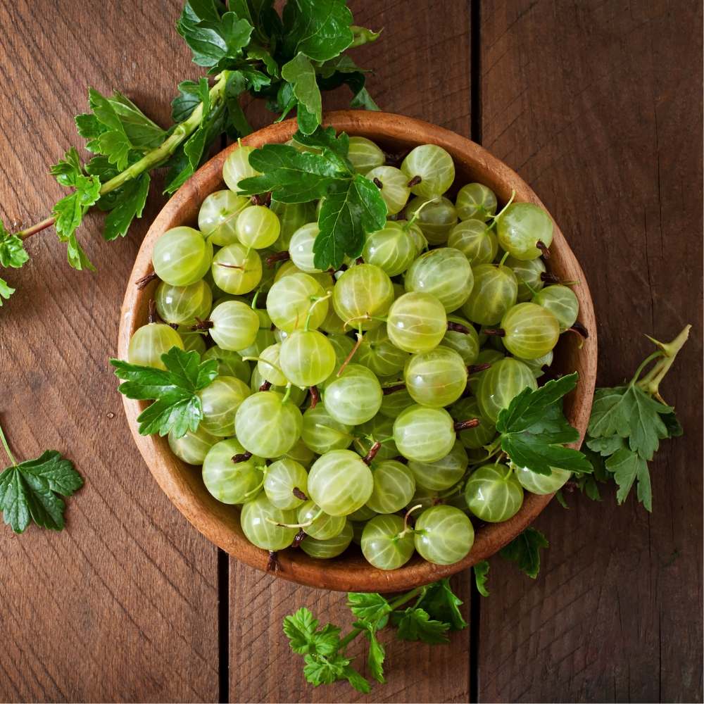 Awla (Emblica officinalis) | Awla Medical Advantages