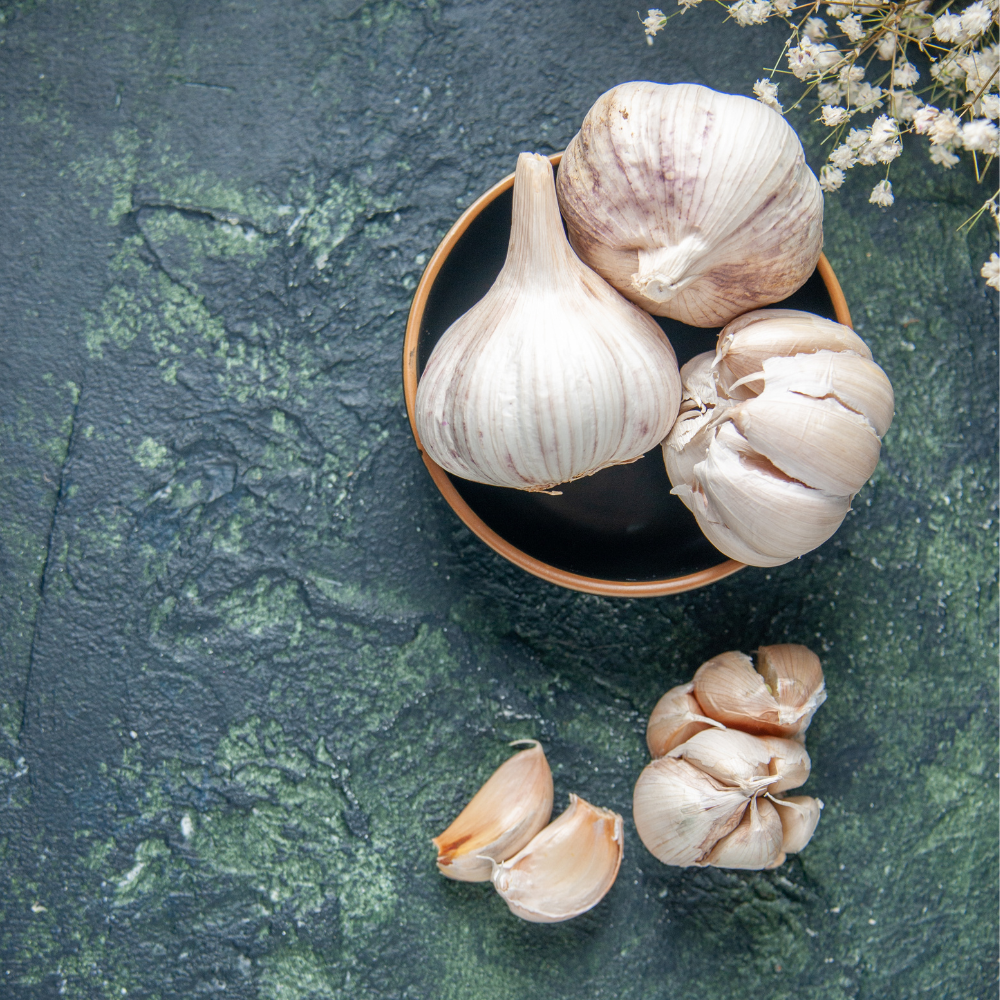 Allium Sativum (Lahsun, Garlic) | Allium Sativum Medical Advantages