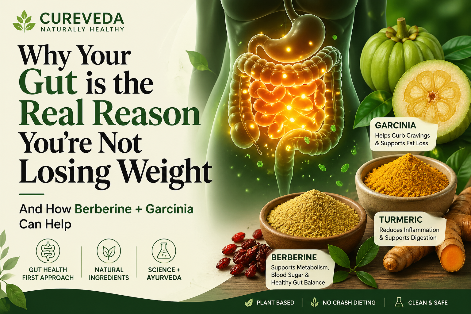 Why Your Gut is the Real Reason You're Not Losing Weight — And How Berberine + Garcinia Can Help
