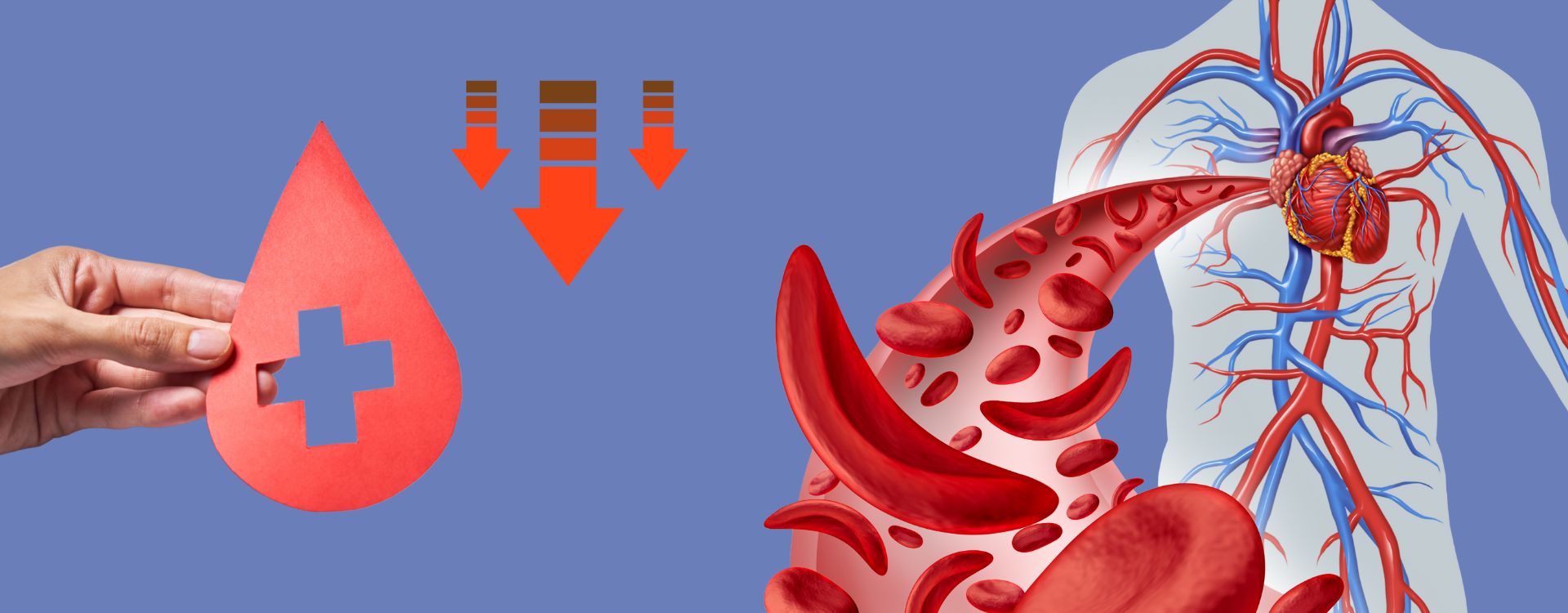 Natural remedies, supplements, and treatment options for anaemia and sickle cell anaemia