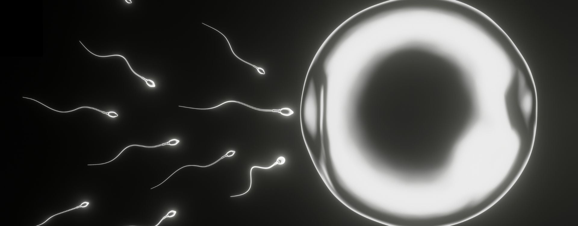 Ayurvedic treatment for infertility in men, featuring natural remedies, herbs, diet, and lifestyle tips to improve fertility.