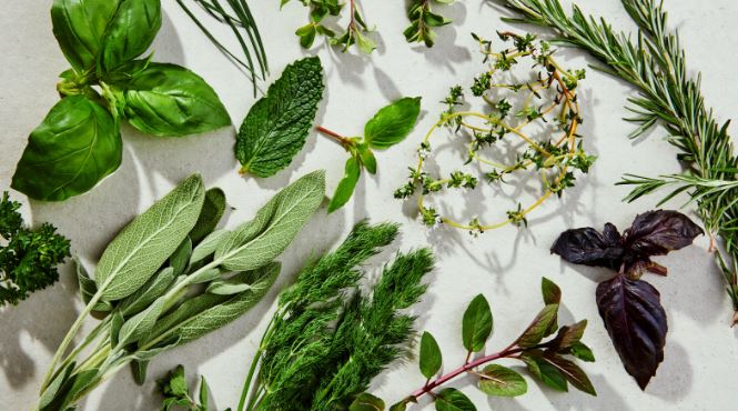 Plant-Based Herbs