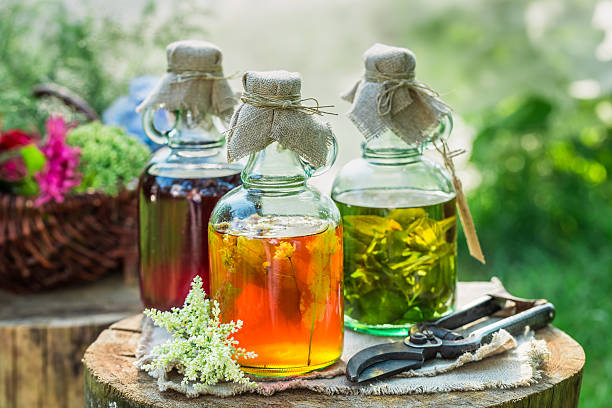 herb-based immunity tonics
