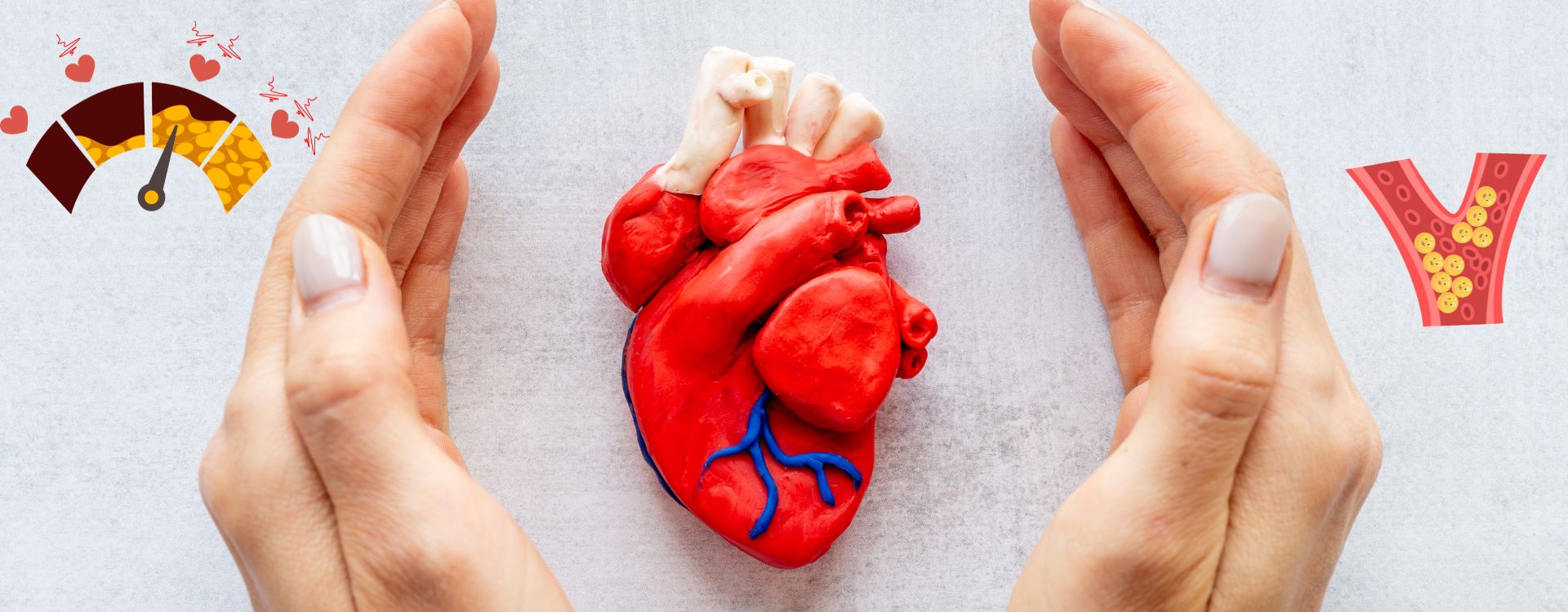 Guide explaining science-backed natural methods to lower cholesterol, including diet, lifestyle changes, and herbal remedies, presented clearly for readers seeking heart-health support.