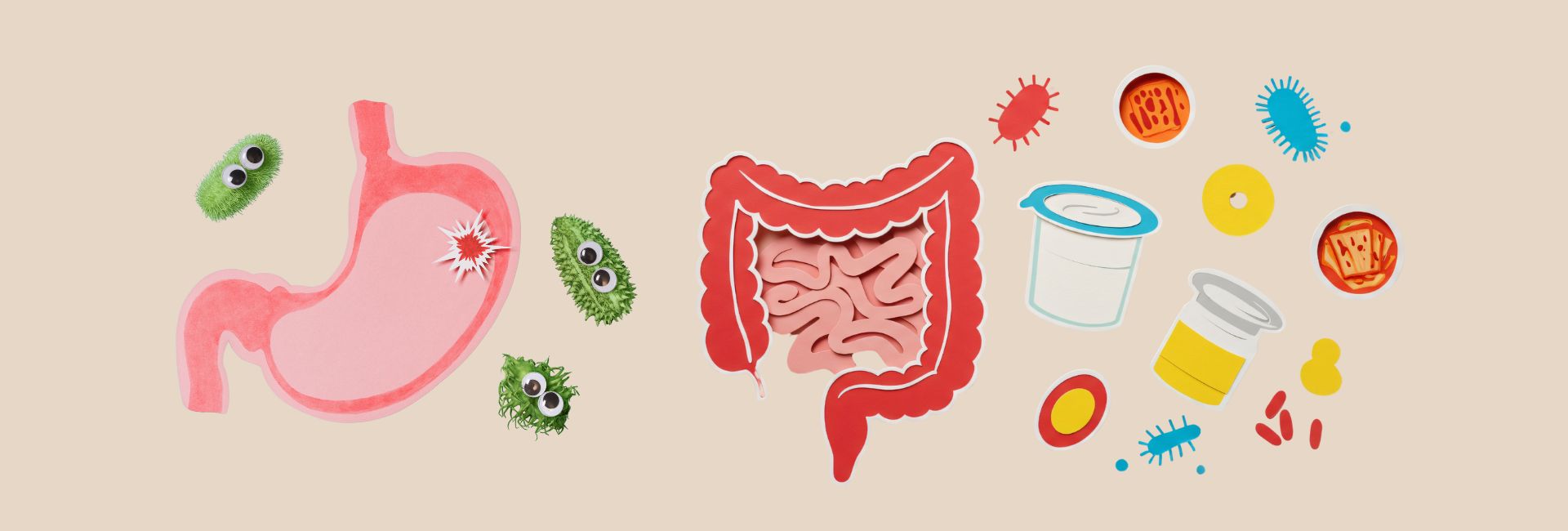 Title image for the blog “The Role of Fiber in Digestion and Overall Wellness,” highlighting dietary fiber benefits for gut and whole-body health.