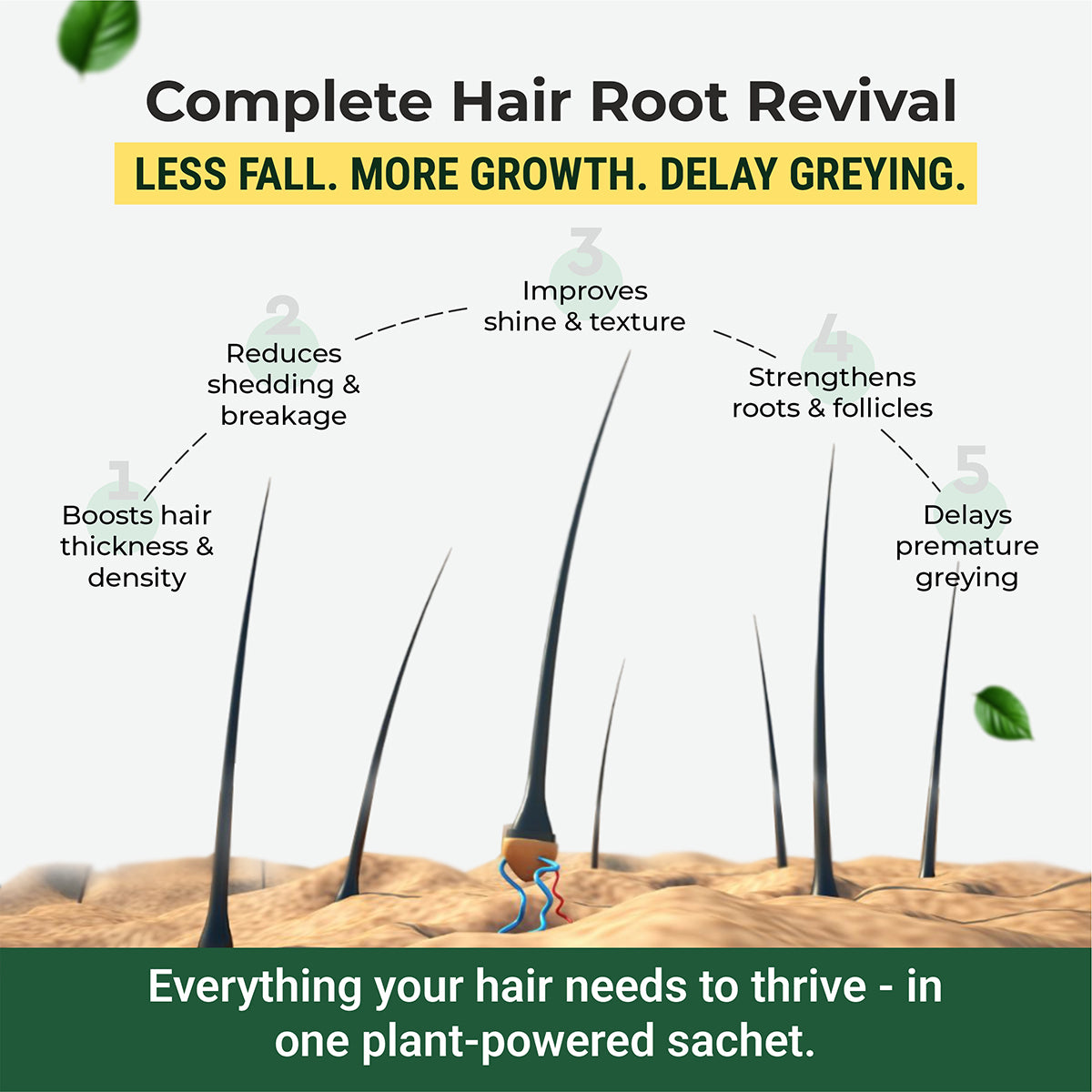 Hair bioten - Hair Vitamins with Plant Biotin