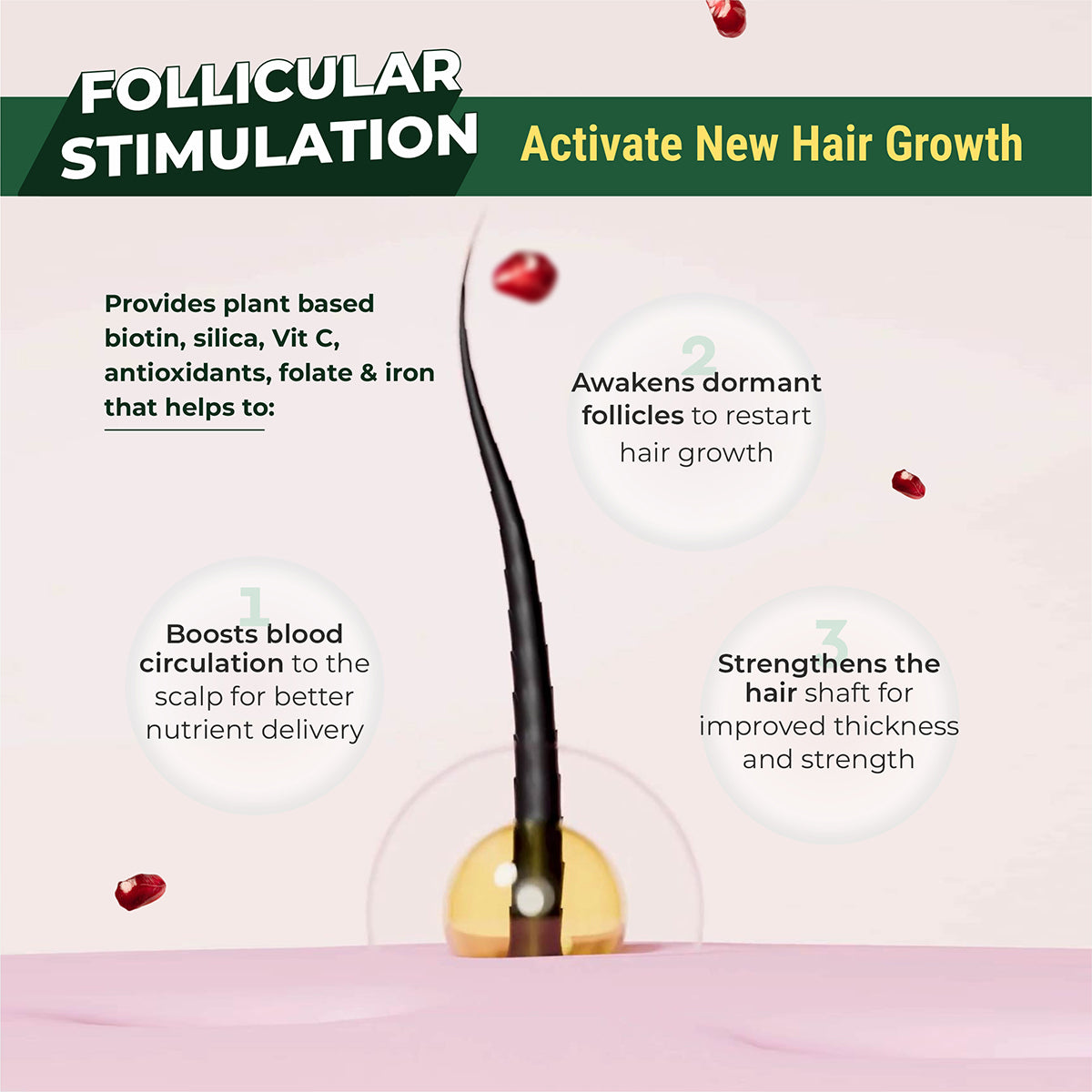 Hair bioten - Hair Vitamins with Plant Biotin