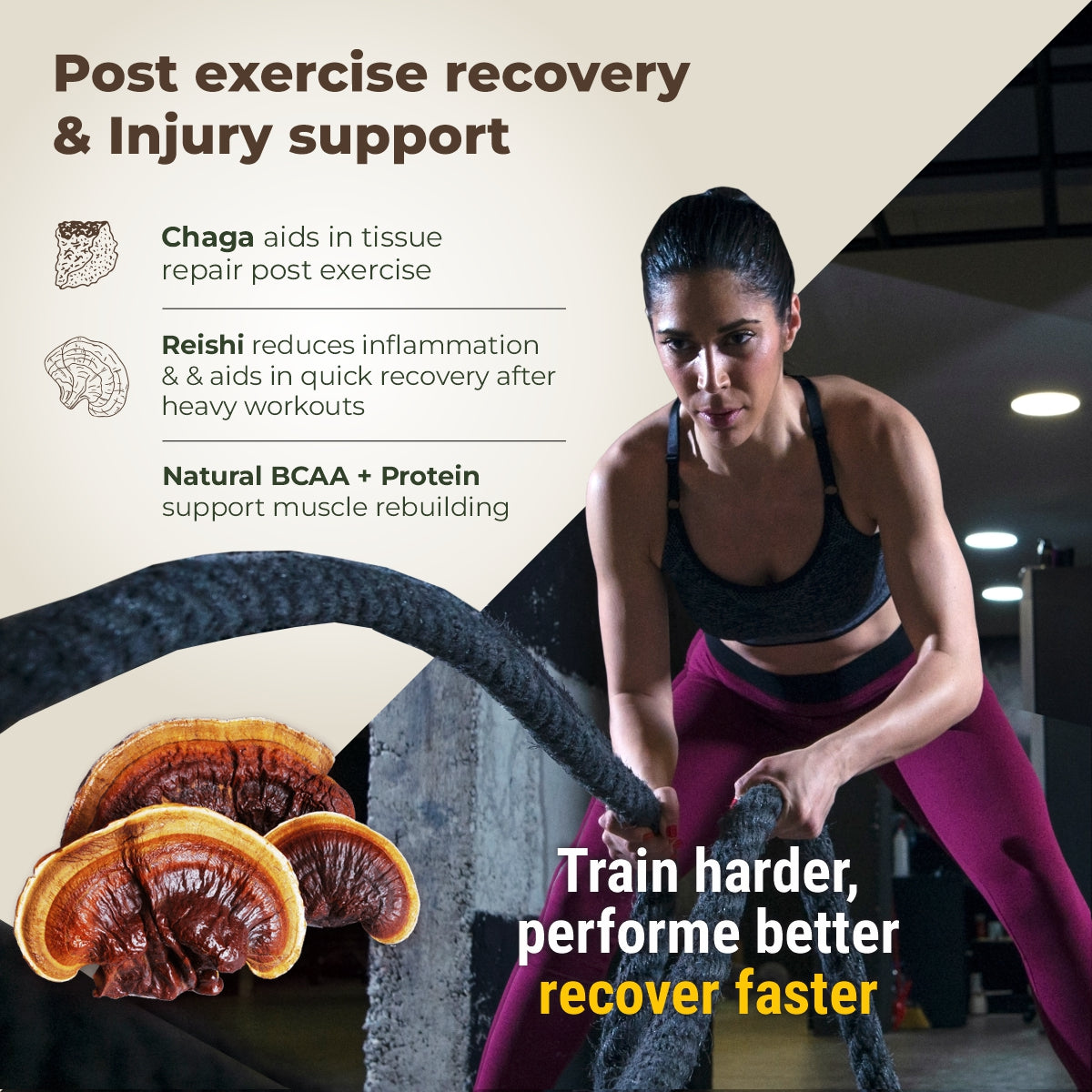 Pro-Build Plant Protein + 6 Mushroom Superpower