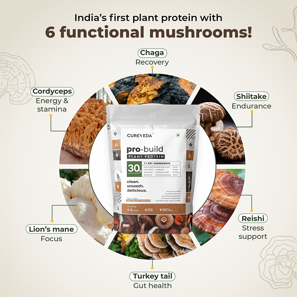 Pro-Build Plant Protein + 6 Mushroom Superpower