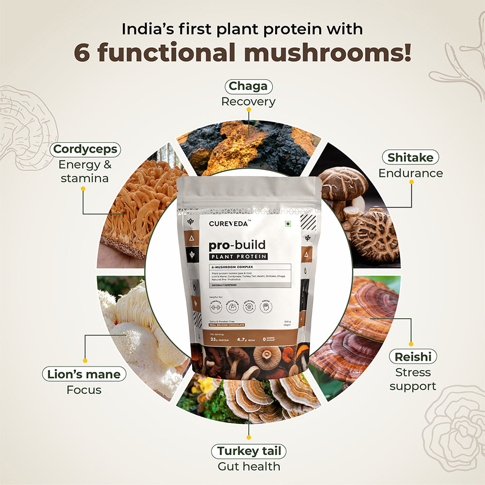 Pro-Build Plant Protein + 6 Mushroom Superpower