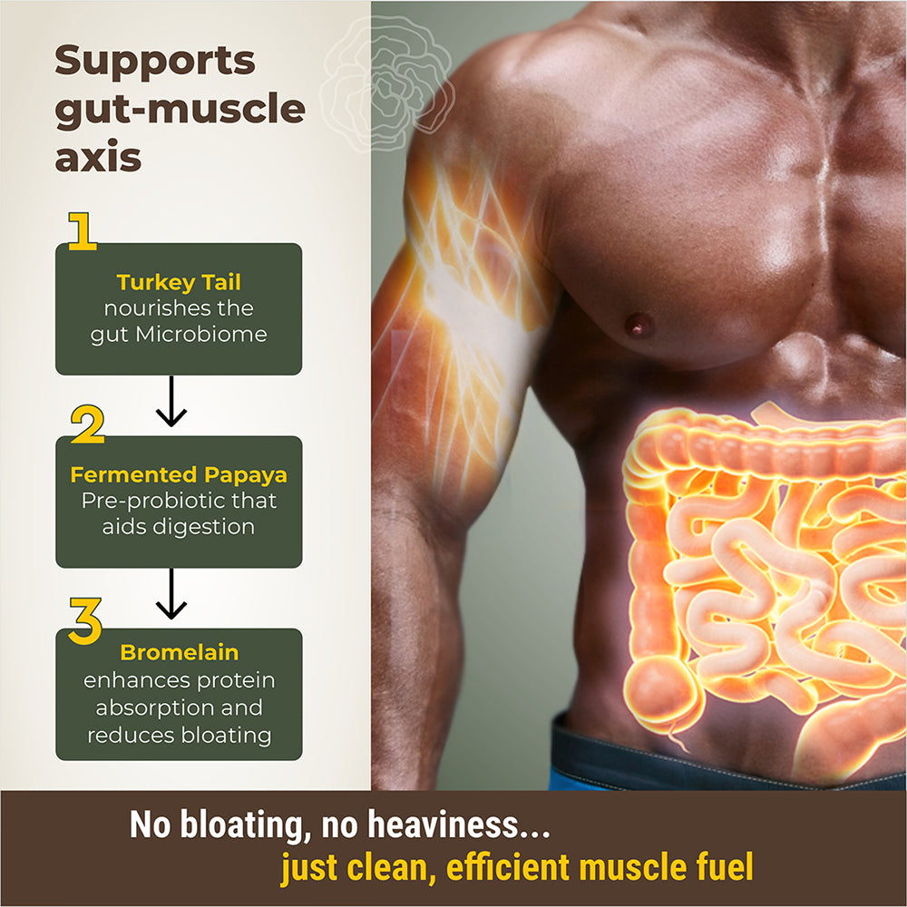 Pro-Build Plant Protein + 6 Mushroom Superpower