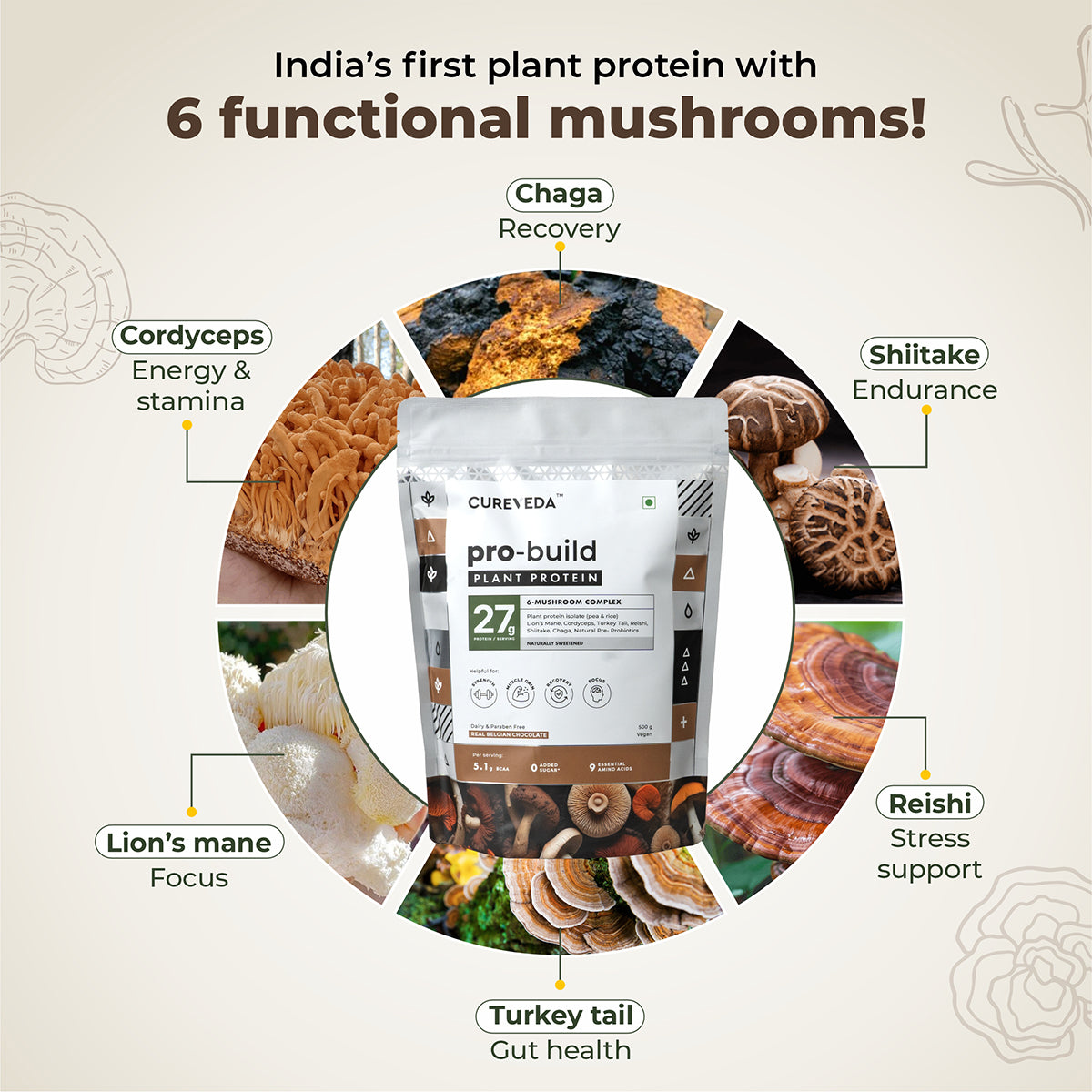 Pro-Build Plant Protein + 6 Mushroom Superpower