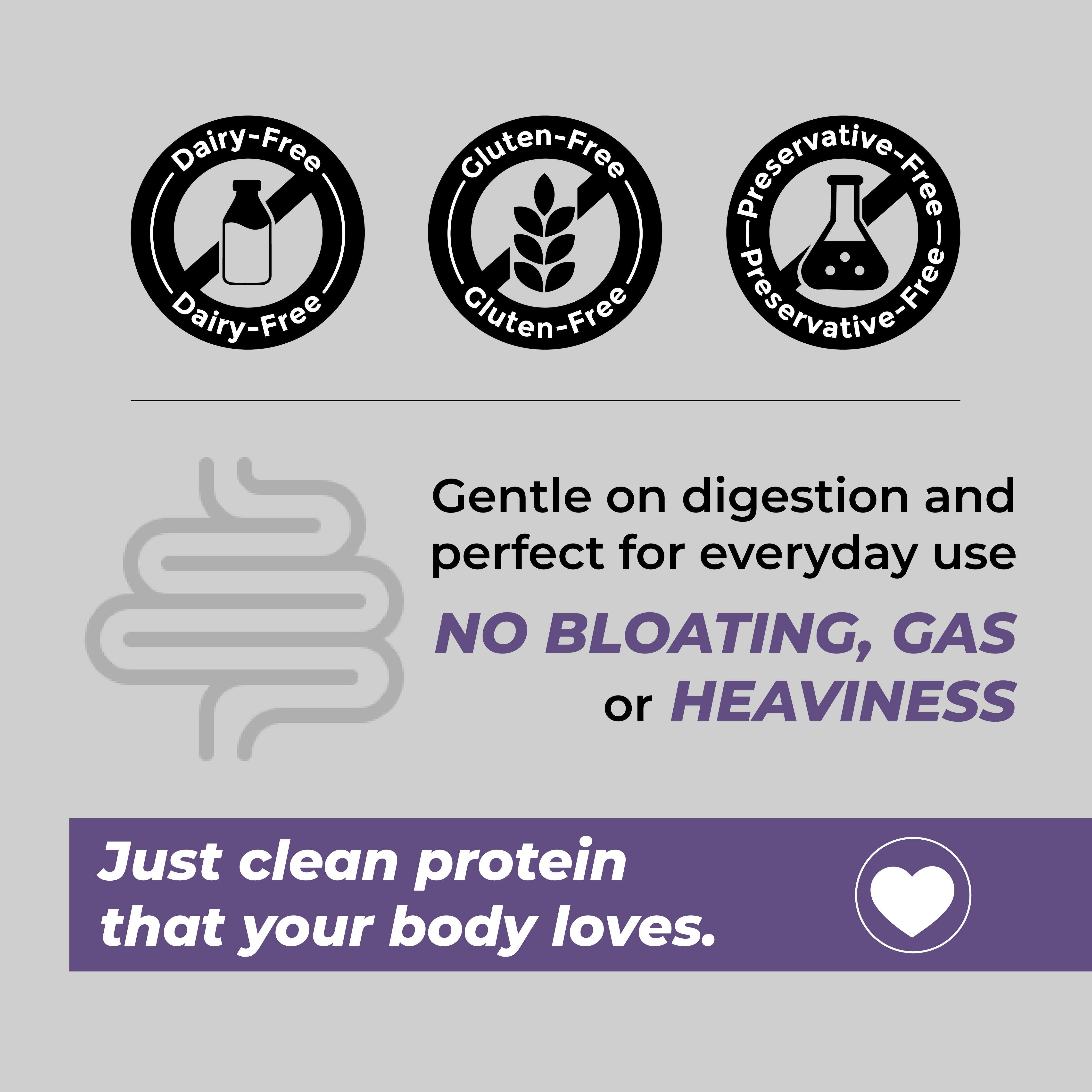 Cureveda Superfood Plant Protein