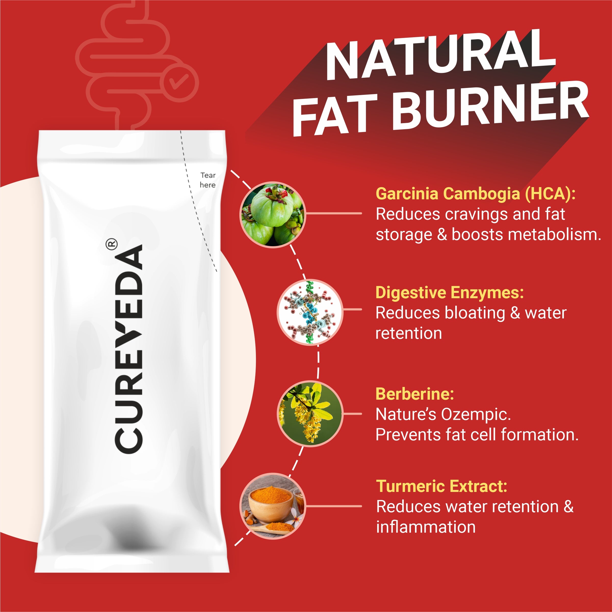 Weight-gut - with Digestive enzymes