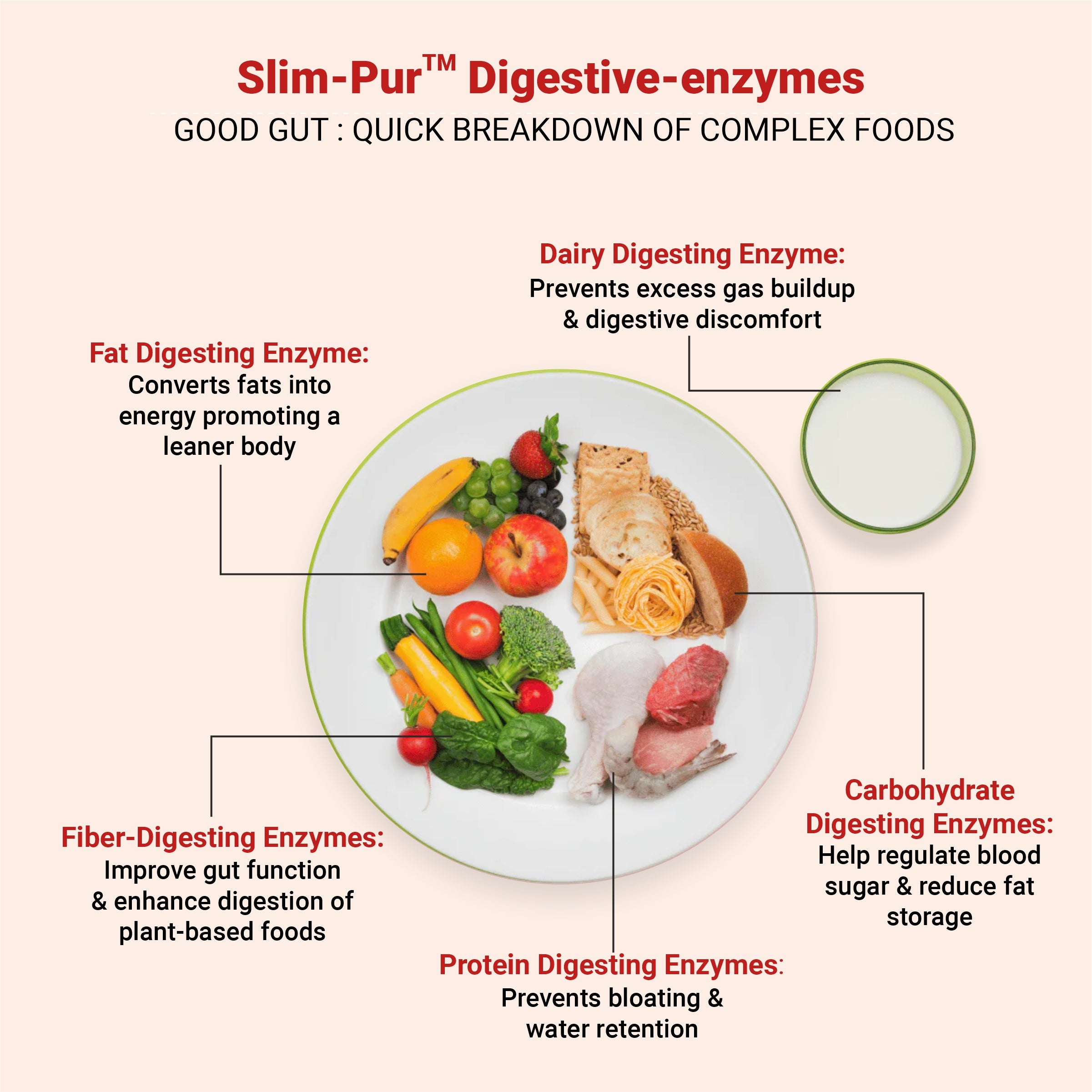Weight-gut - with Digestive enzymes