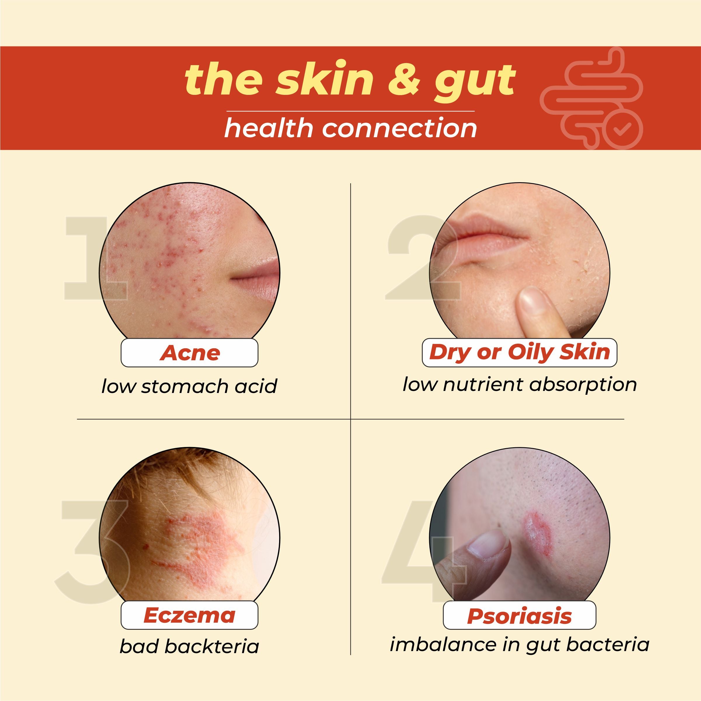 Cureveda Skin-gut with Pre-probiotics