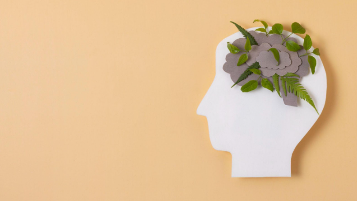Best supplements for focus & memory: What science says