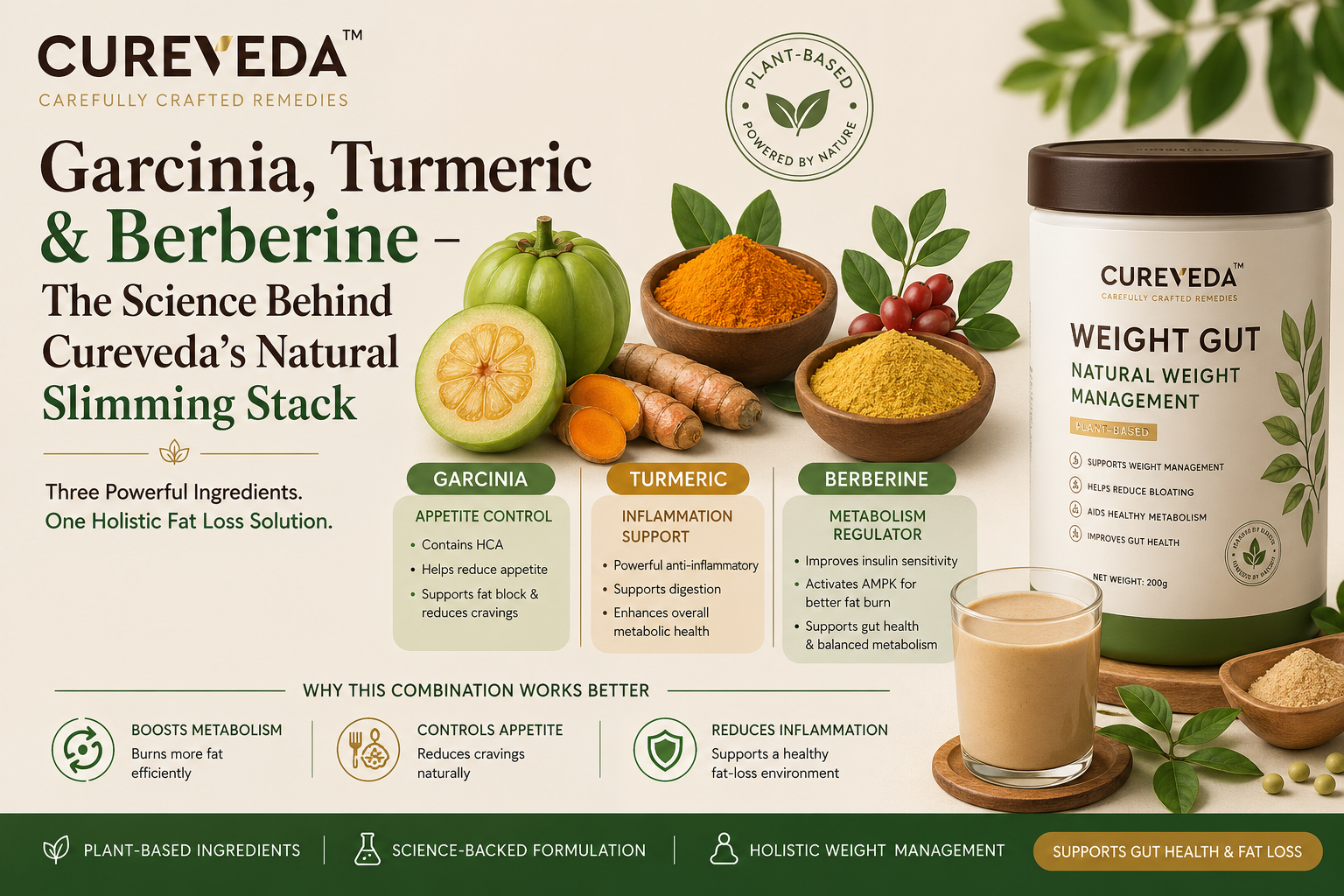 Garcinia, Turmeric & Berberine — The Science Behind Cureveda’s Natural Slimming Stack