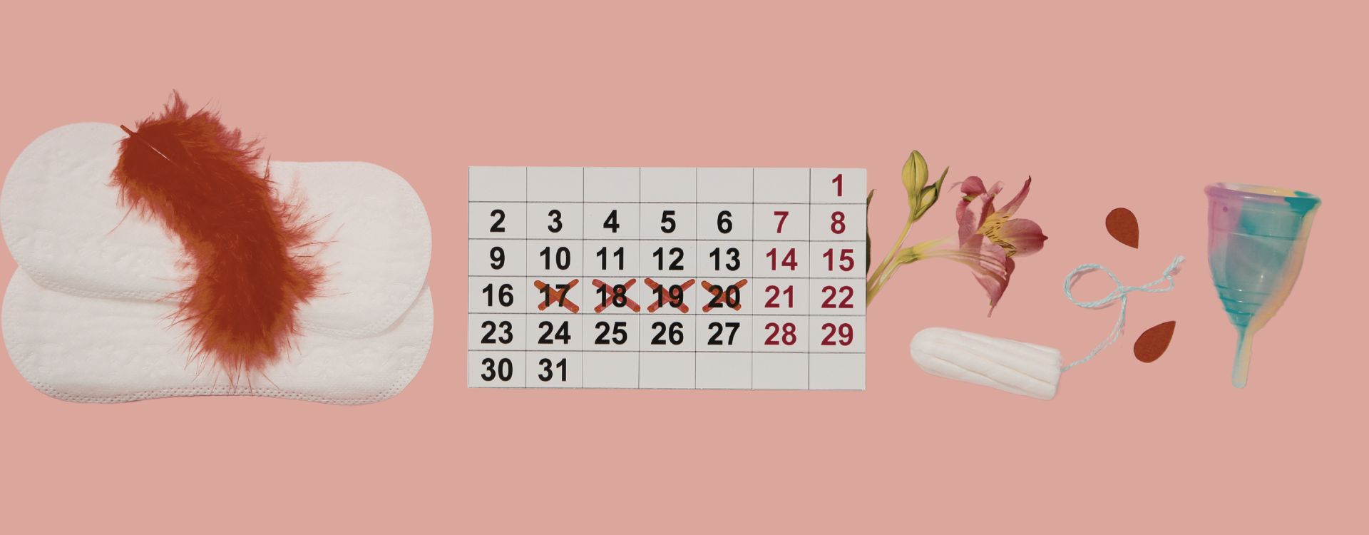 Illustration explaining dysmenorrhea with visuals showing menstrual cramps, common symptoms, and natural relief options.