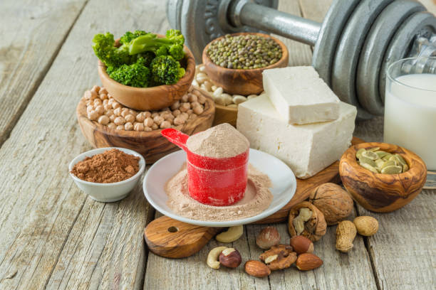  herbal plant protein for daily workout support 