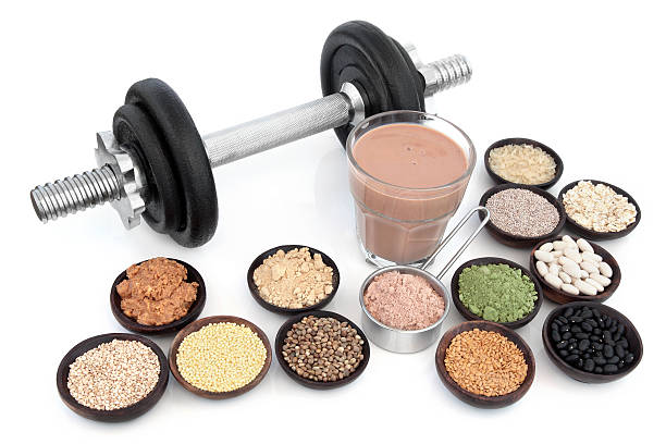 herbal plant protein for post-workout nutrition