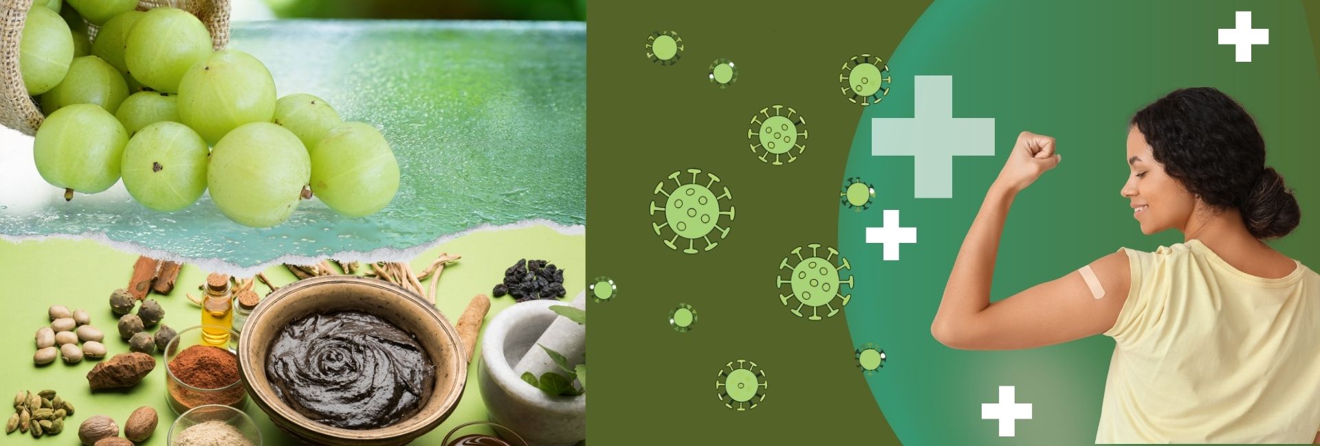 Illustration showing effectiveness of sugar-free Chyawanprash compared to regular version for immunity and overall health