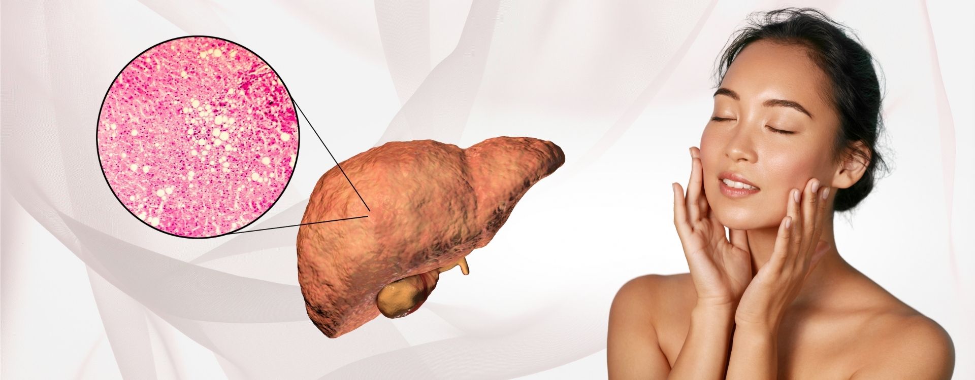 Illustration of the liver and skin connection showing how liver detox for acne can reduce breakouts and improve skin clarity naturally