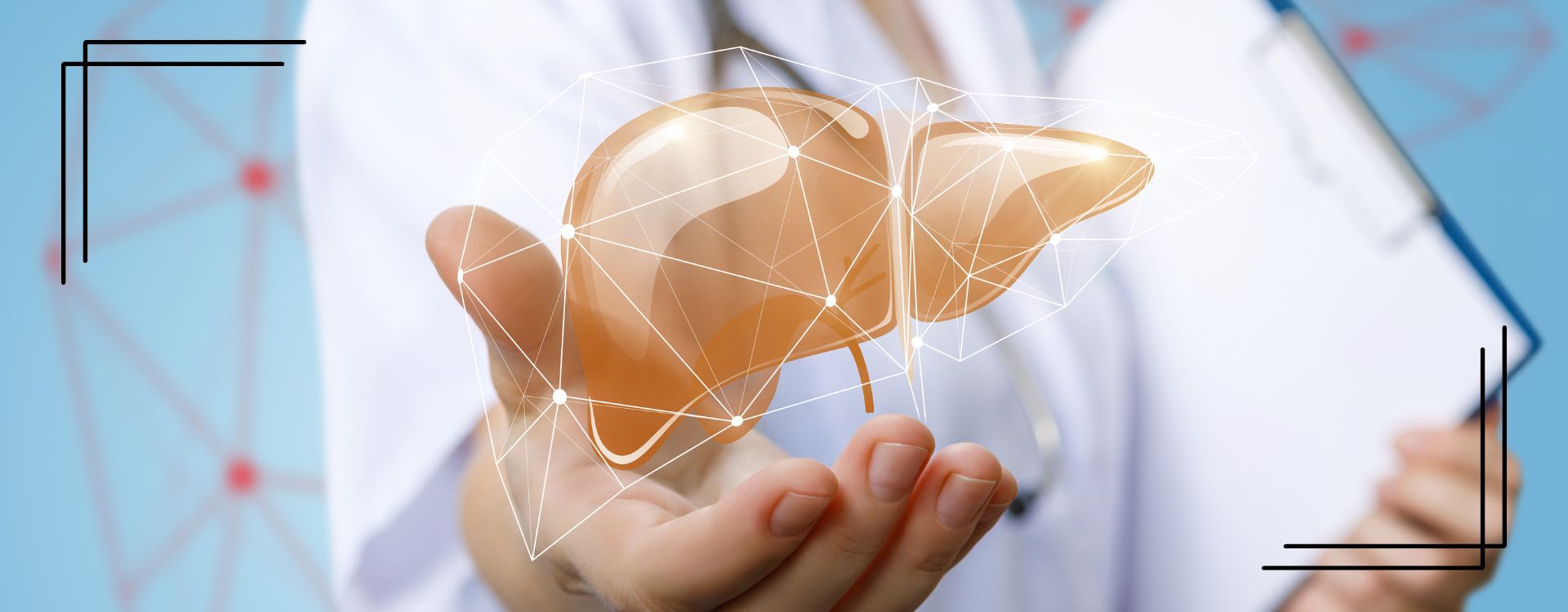 Visual chart showing how a healthy liver boosts detoxification, improves nutrient absorption, balances hormones, and enhances natural skin glow from within.