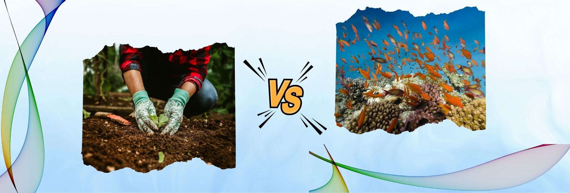 Image comparing plant-based collagen and marine collagen, highlighting their sources, benefits, absorption, and effectiveness to help choose the better option.