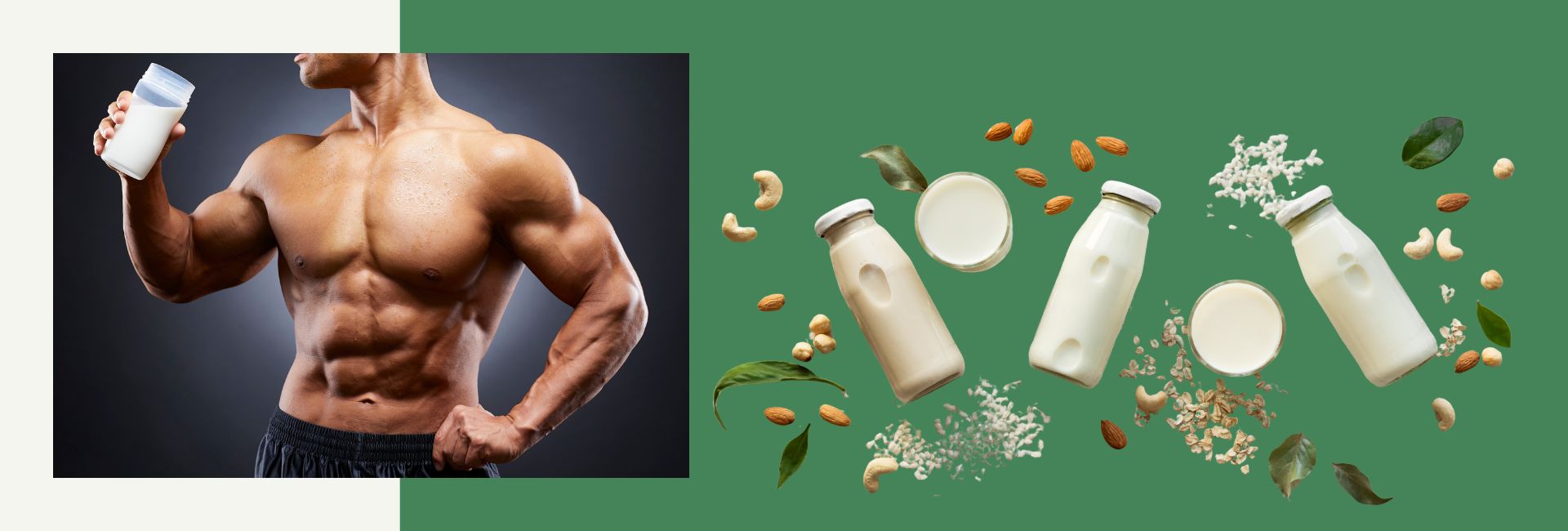 Plant vegan protein powder with athletes using plant based protein supplements
