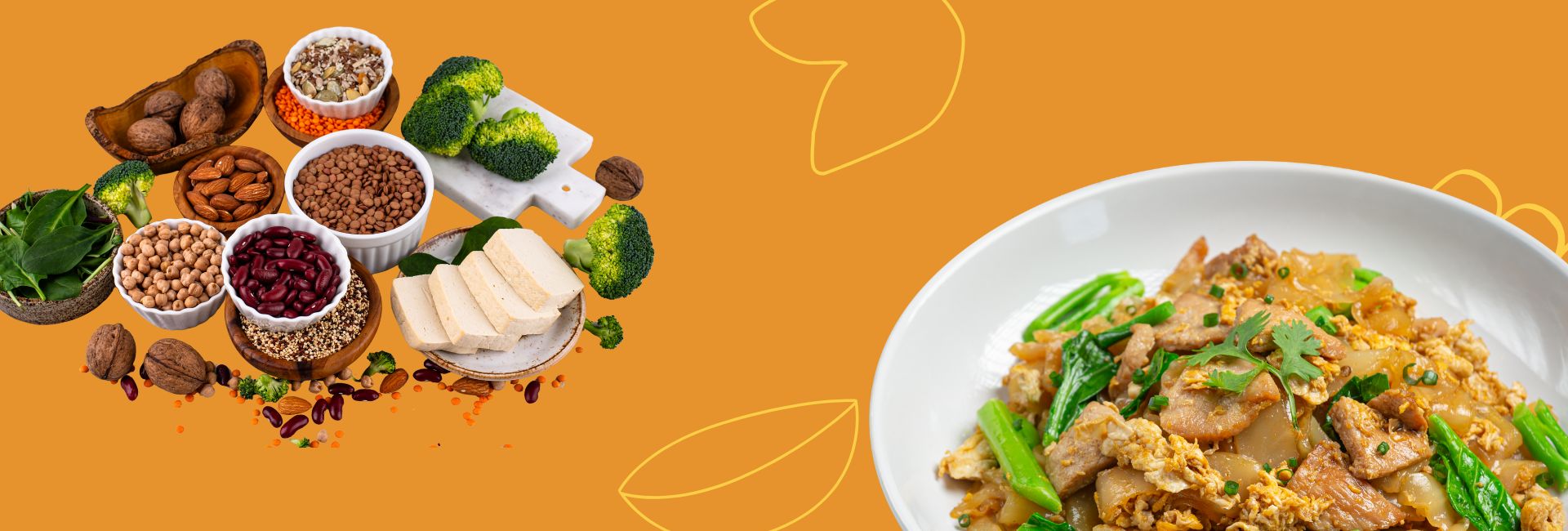 Protein organic powder gaining popularity in 2026 for clean plant-based nutrition and daily protein support