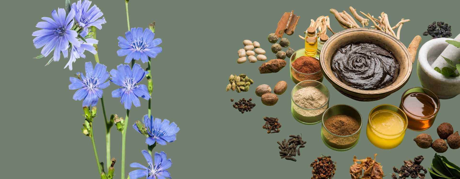 Jar of sugar-free Chyawanprash for diabetics with health benefits, recommended brands, and safe usage guide.