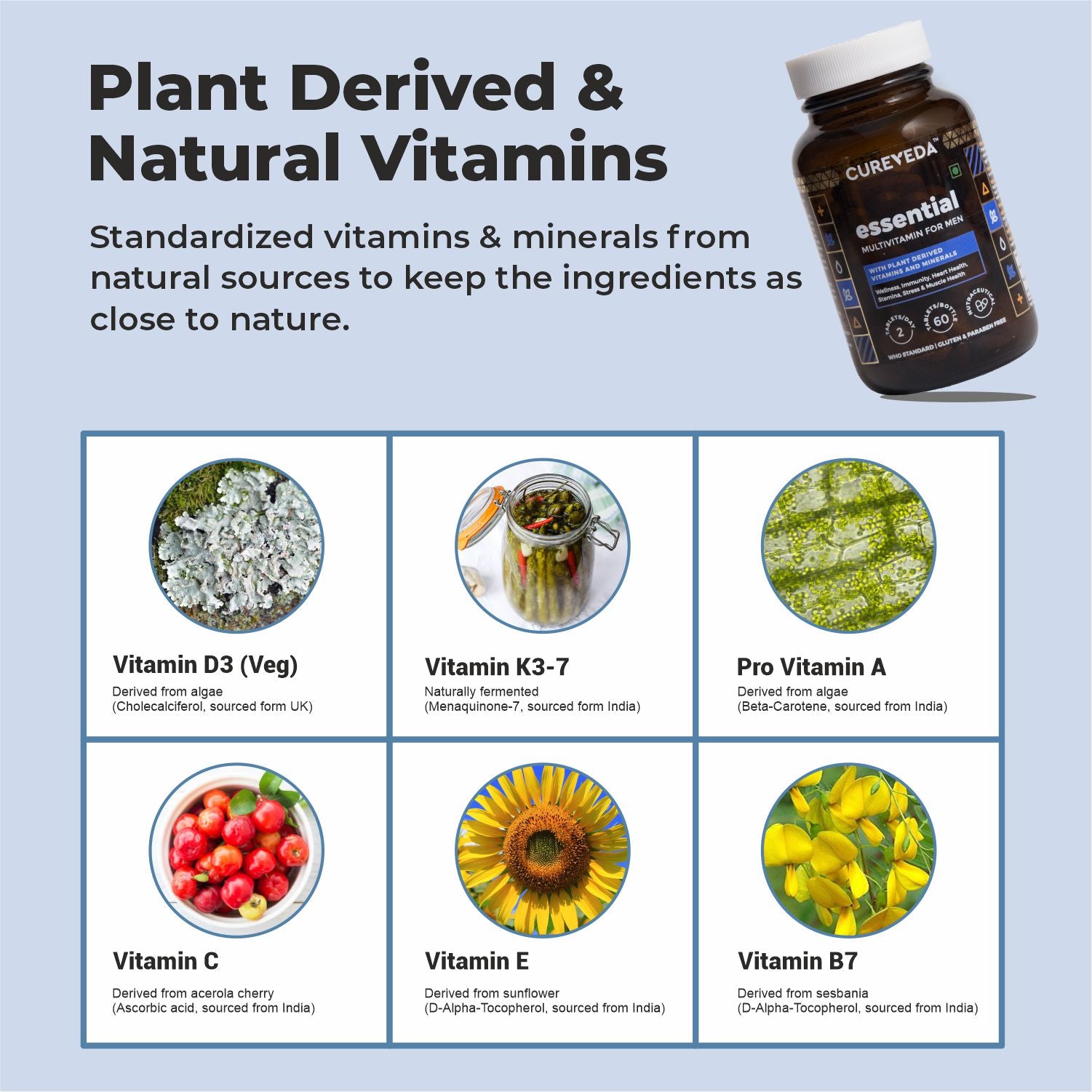 Multivitamin for Men - Plant based
