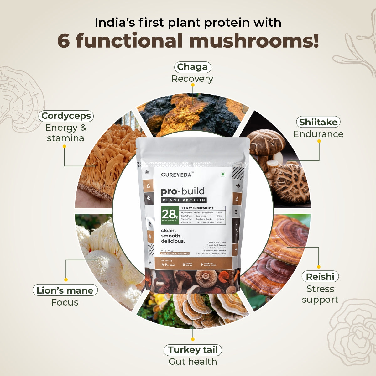 Pro-Build Plant Protein + 6 Mushroom Superpower