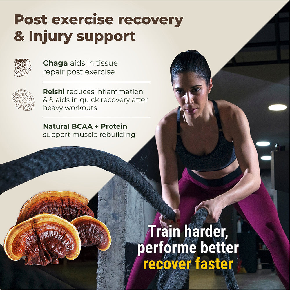 Pro-Build Plant Protein + 6 Mushroom Superpower