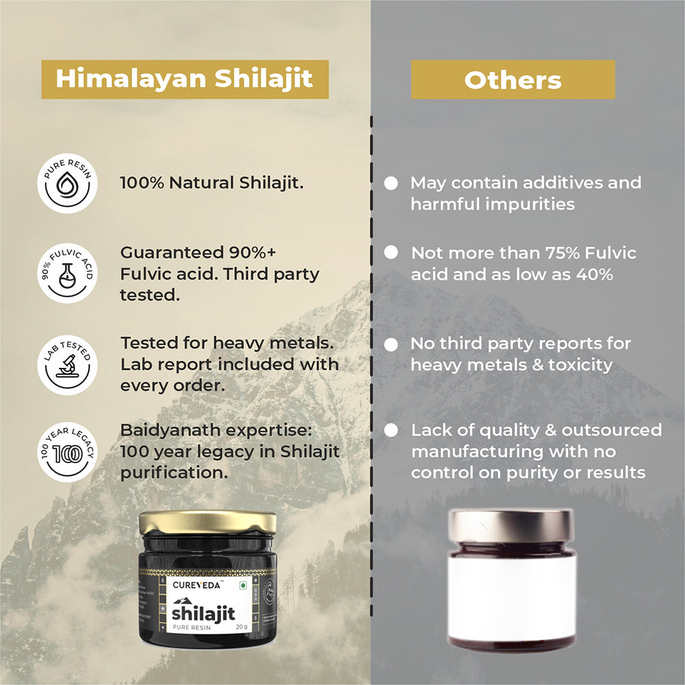 Shilajit 20g