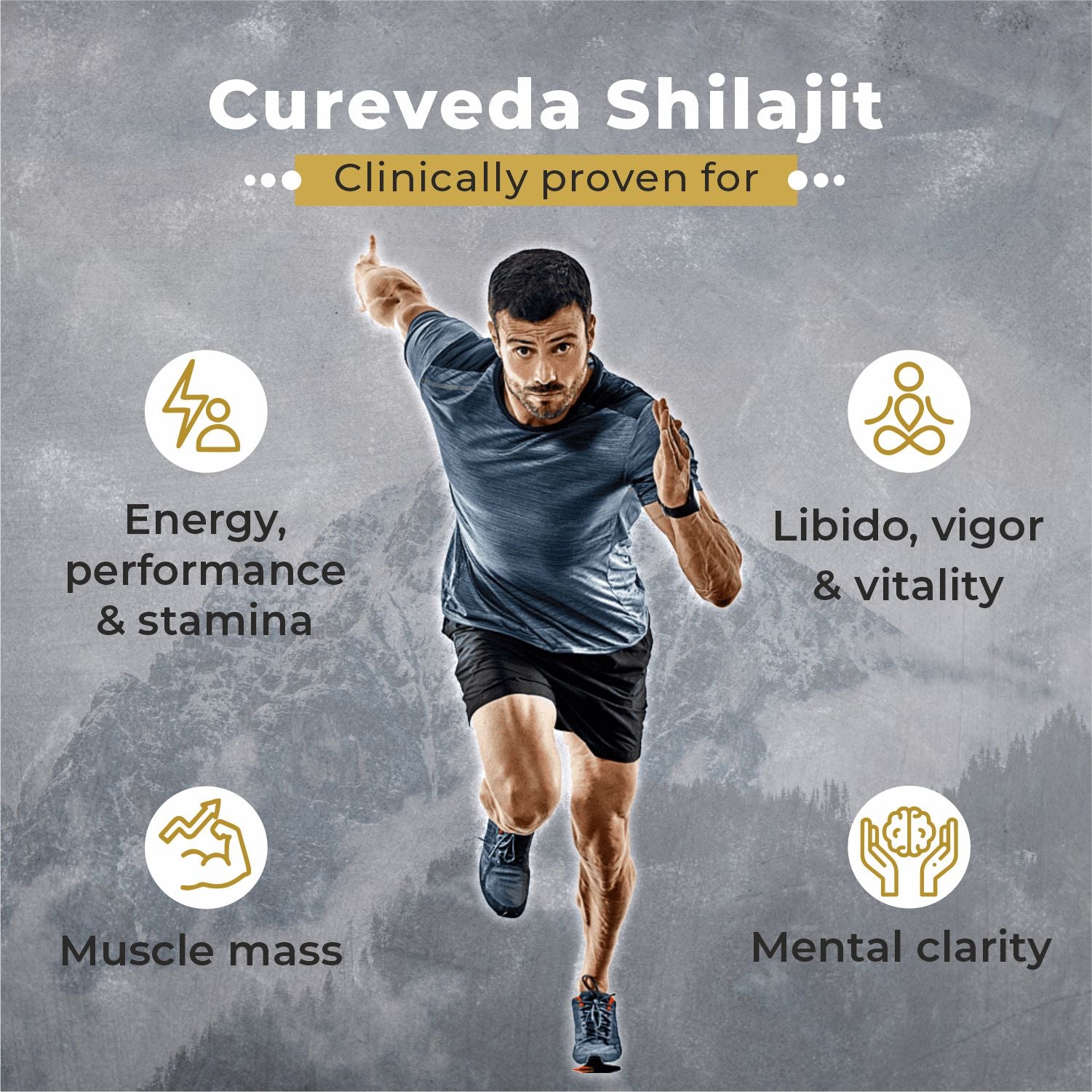 Cureveda Himalayan Shilajit Resin